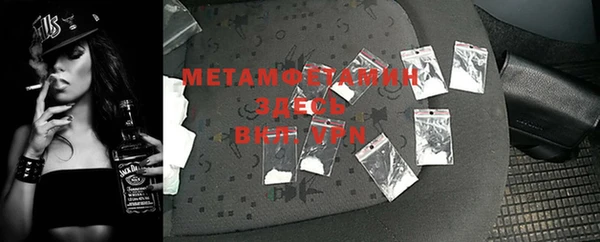 шишки Медвежьегорск