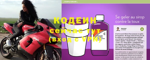 шишки Медвежьегорск