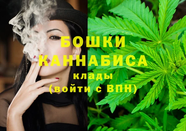 гидропоника Медногорск