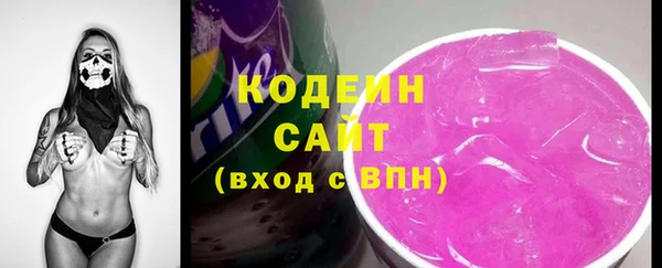 шишки Медвежьегорск