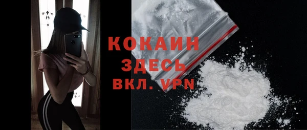 дмт Михайлов