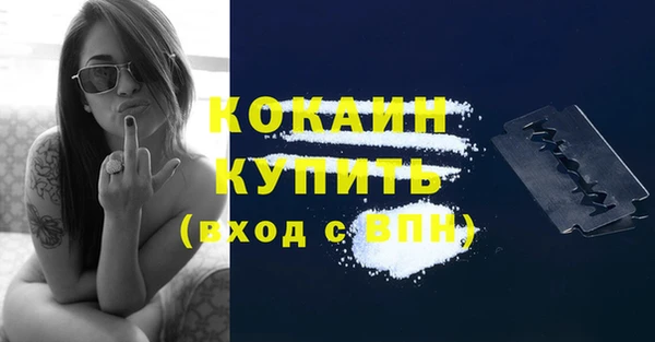бошки Мегион