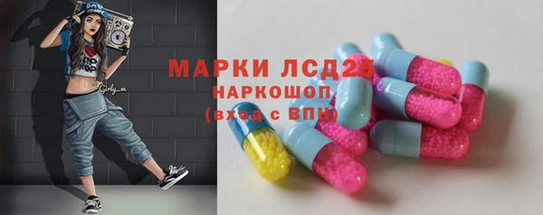 шишки Медвежьегорск