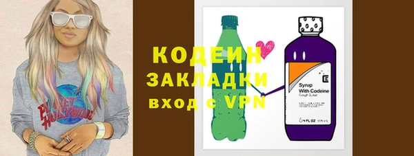 шишки Медвежьегорск