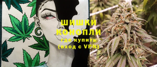 бошки Мегион