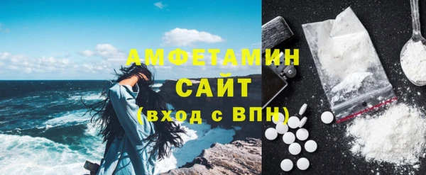 шишки Медвежьегорск