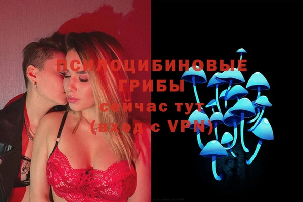 гидропоника Медногорск