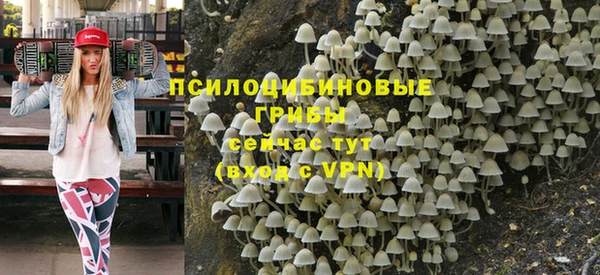 шишки Медвежьегорск